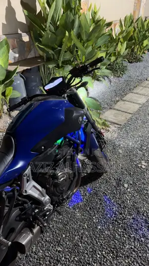 Yamaha FZ 2018 Blue