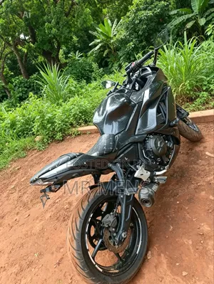Kawasaki Ninja 650 2019 Gray