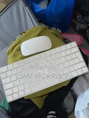 Apple Keyboard and Mouse Wireless