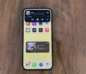 Apple iPhone 14 Pro Max 256 GB Gray
