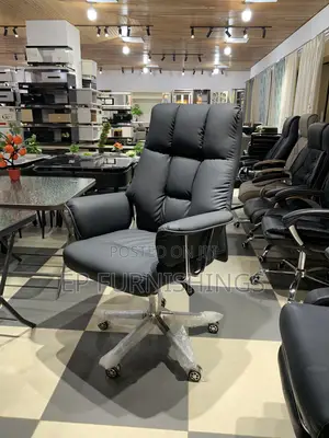 Executive Double Padded Office Chair