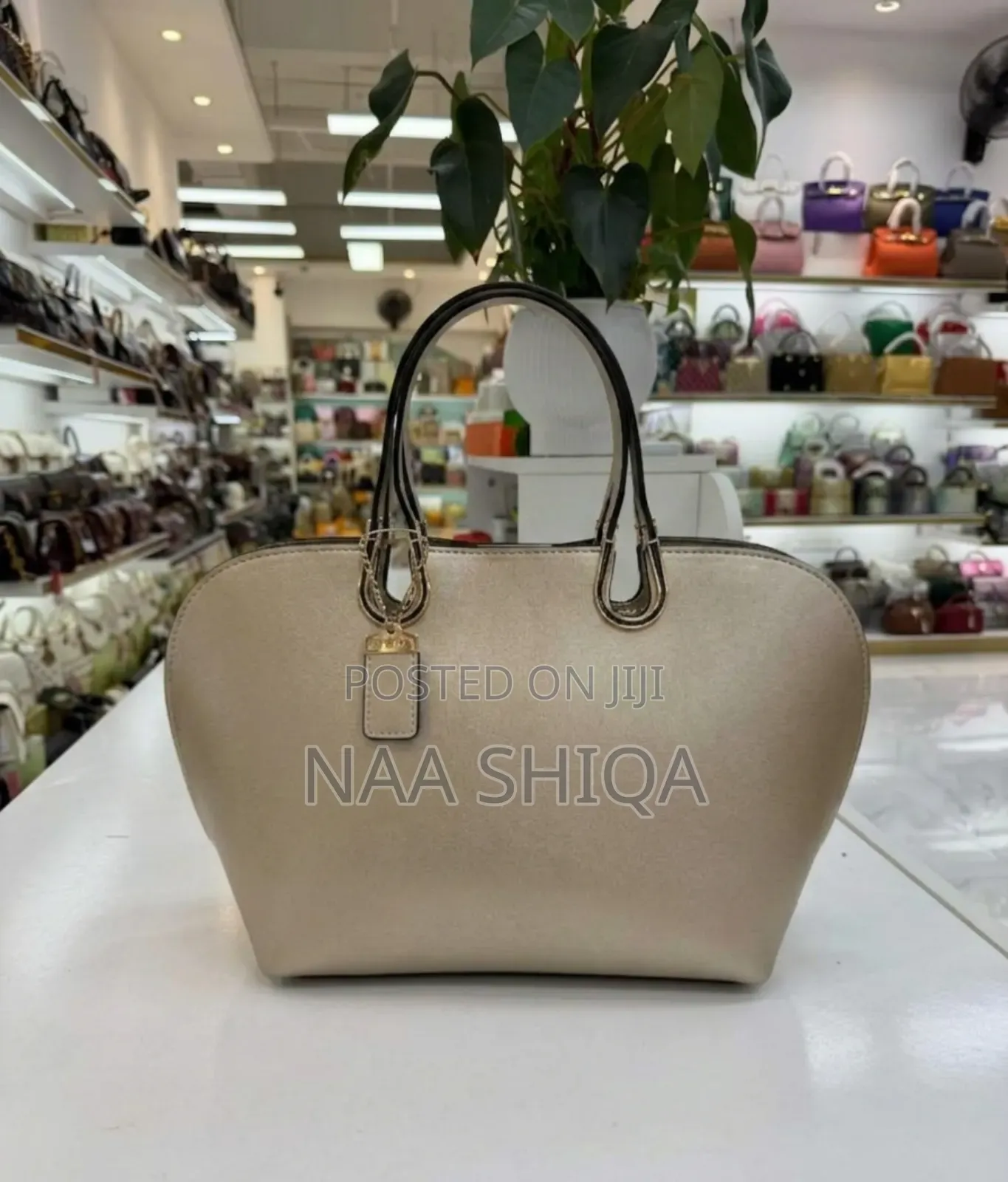 Classy Ladies Bag