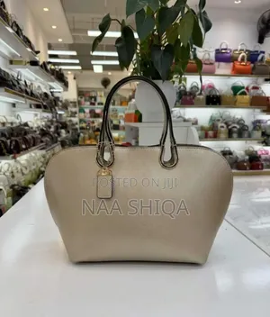 Classy Ladies Bag