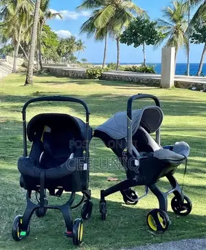 2-in-1 Car Seat Stroller