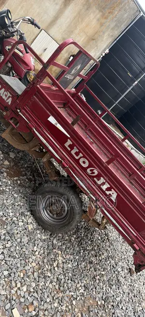 Luojia Cargo Tricycle 2022 Red