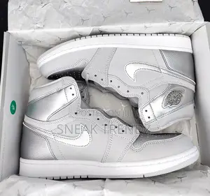 Air Jordan Retro 1 Silver Grey