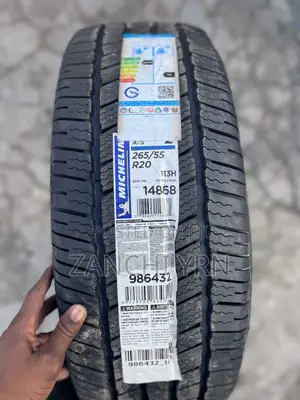 265/55r20 113h Michelin