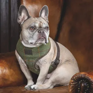 Digby Designer Pet Harness
