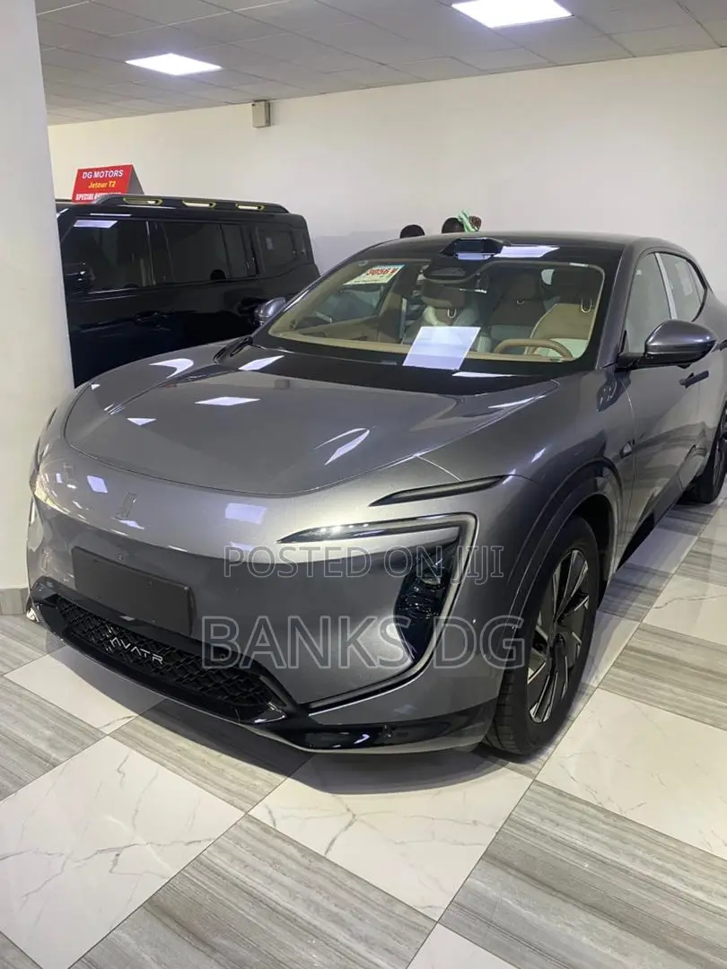 New Avatr 11 2025 Gray