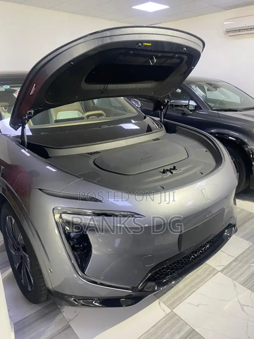 New Avatr 11 2025 Gray