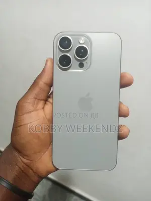 Apple iPhone 15 Pro Max 256 GB Gray