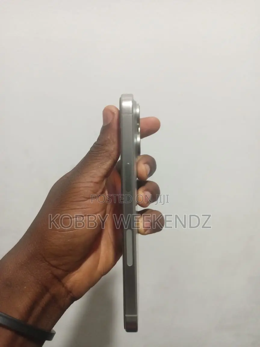 Apple iPhone 15 Pro Max 256 GB Gray