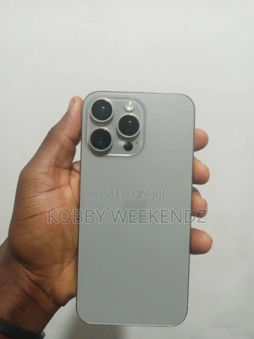 Apple iPhone 15 Pro Max 256 GB Gray