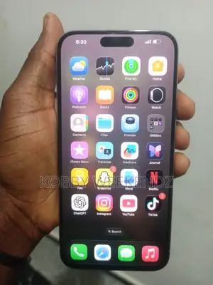 Apple iPhone 15 Pro Max 256 GB Gray