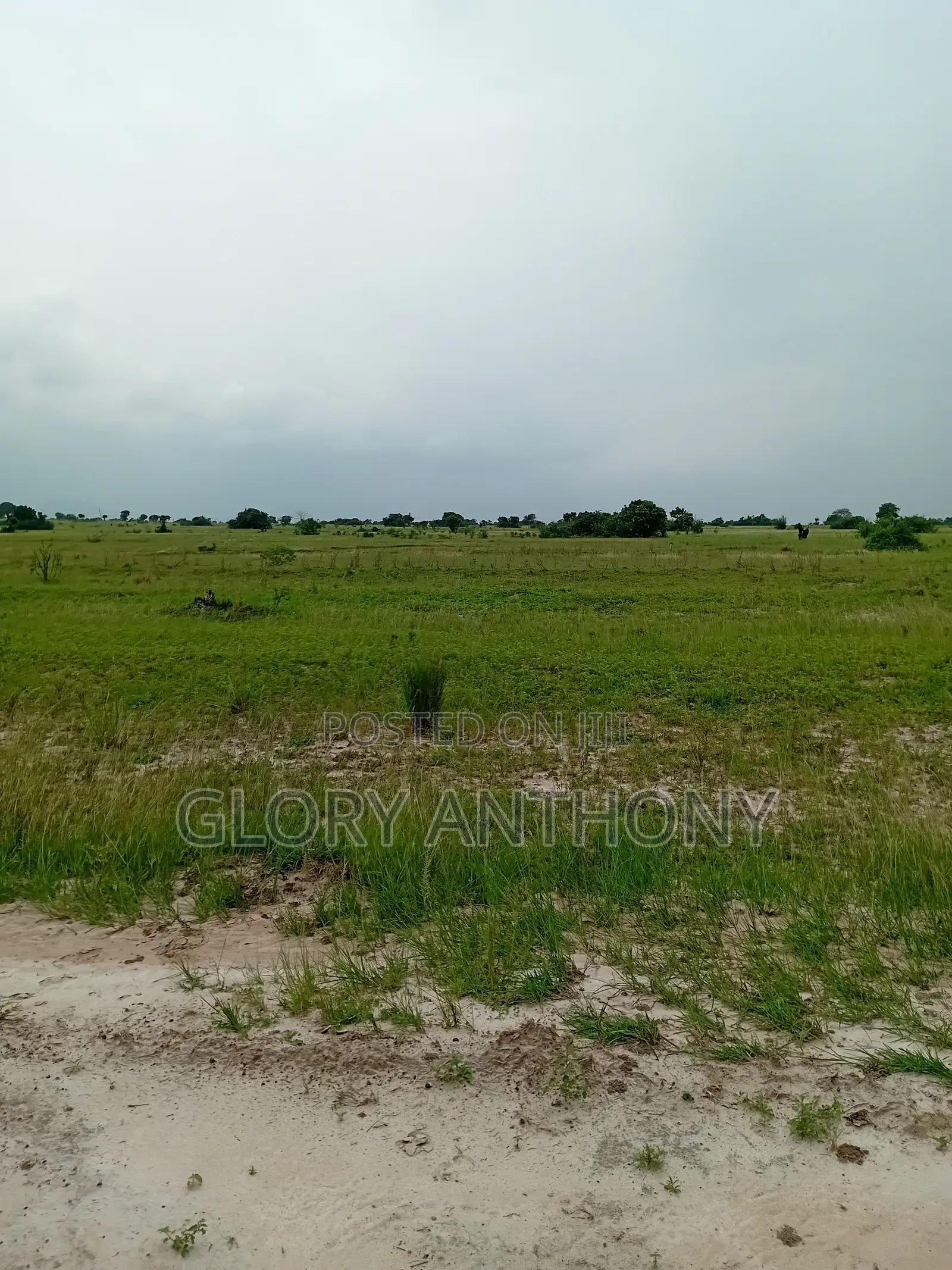 Crazy Discount On Lands Around The New Airport City