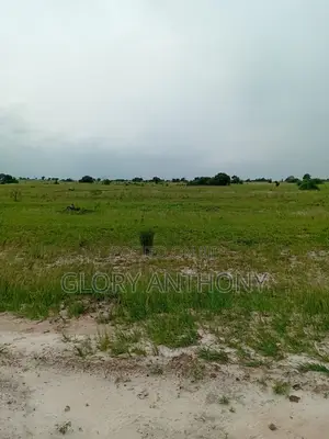 Crazy Discount On Lands Around The New Airport City
