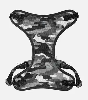 Adjustable Mesh Harness for Dogs