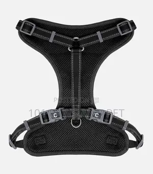 Adjustable Mesh Harness for Dogs
