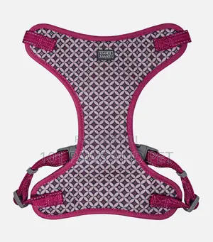 Adjustable Mesh Harness for Dogs