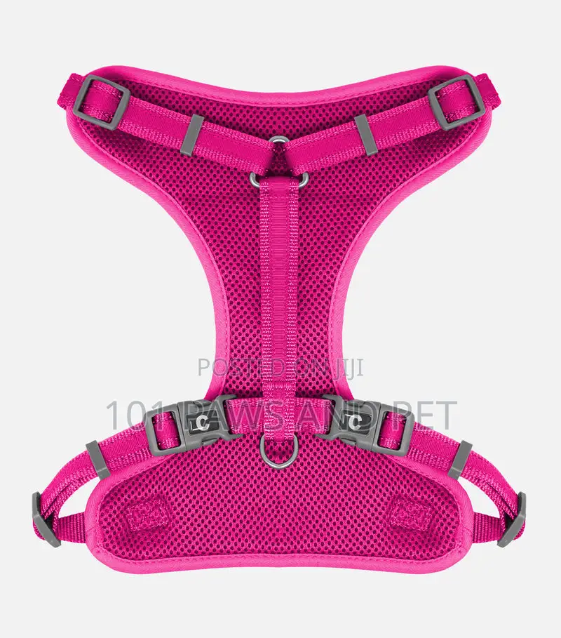 Adjustable Mesh Harness for Dogs