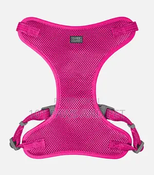 Adjustable Mesh Harness for Dogs