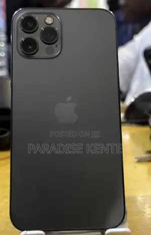 Apple iPhone 12 Pro 128 GB Gray