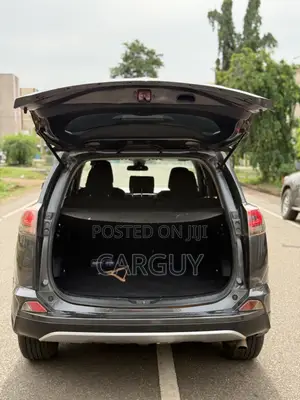 Toyota RAV4 LE 4dr SUV (2.5L 4cyl 6A) 2018 Gray