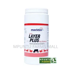 Layer Plus(Egg Booster)
