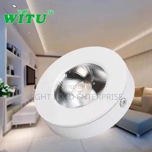 Surface Ceiling Light