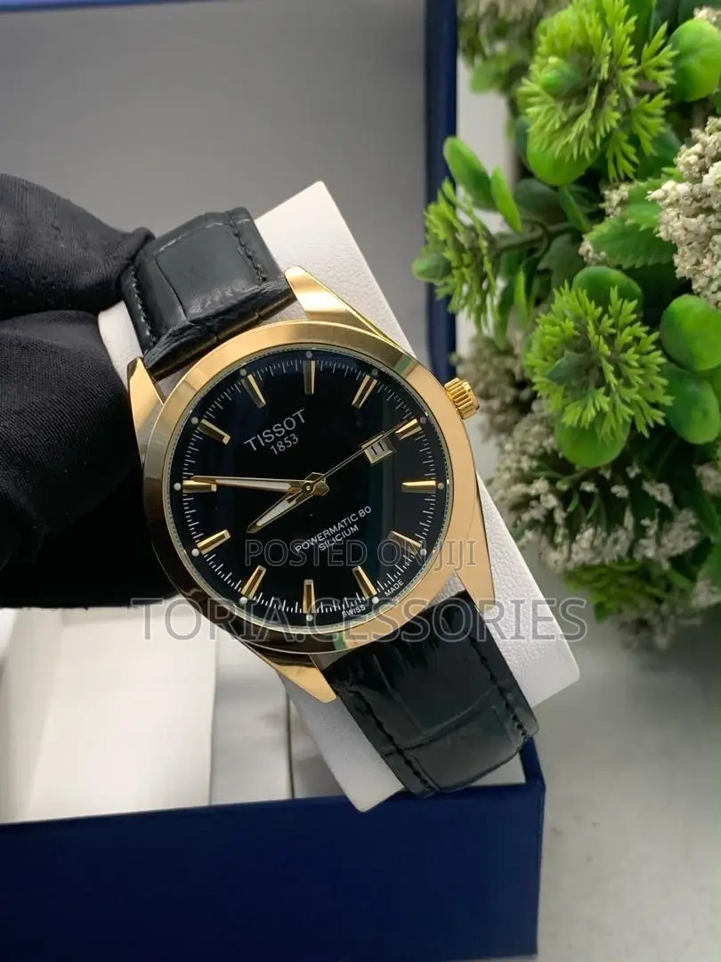 Casual Friendly Tissot Leather Watch