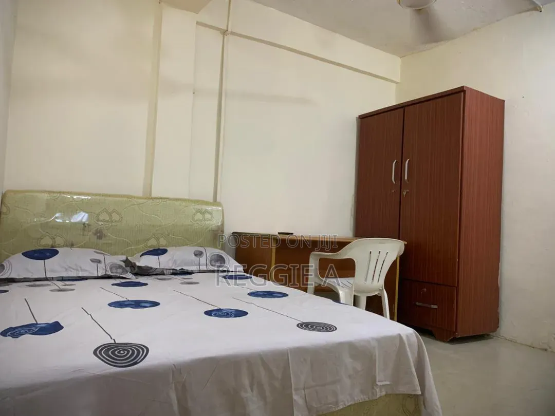 One BDRM Furnished Studio Ensuite