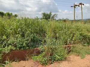 2 Acres of Land