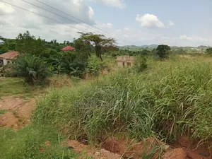 2 Acres of Land