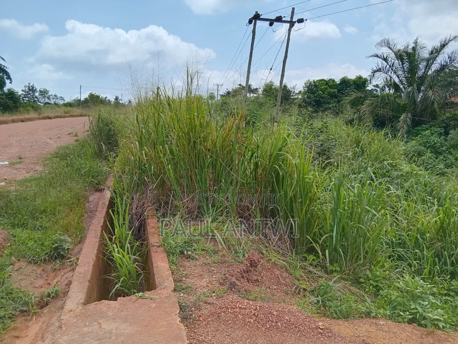 2 Acres of Land