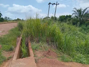 2 Acres of Land