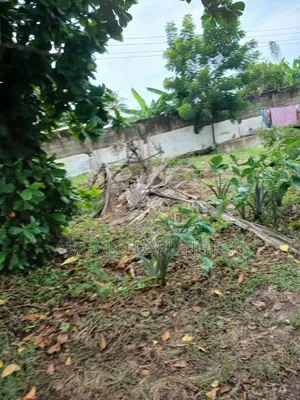 2 Plot and Old House for Sale