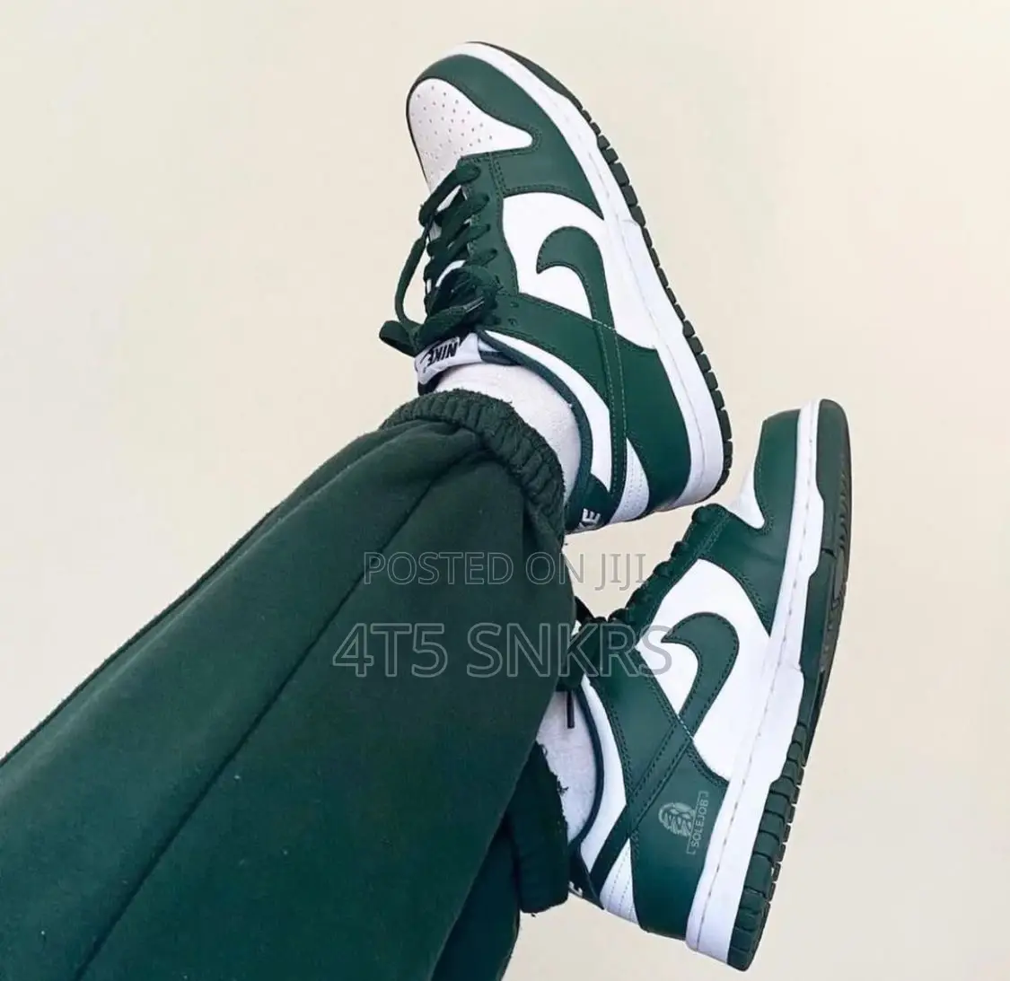 Nike Jordan 1 Low / Sb Dunks