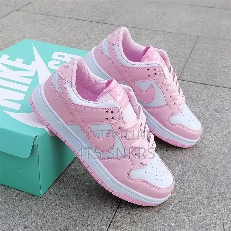 Nike Jordan 1 Low / Sb Dunks