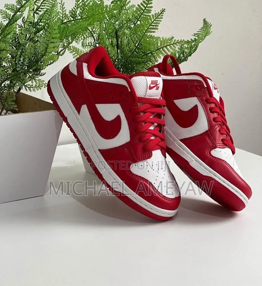 Nike Jordan 1 Low / Sb Dunks