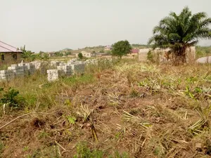 Be a Property Owner Immediately