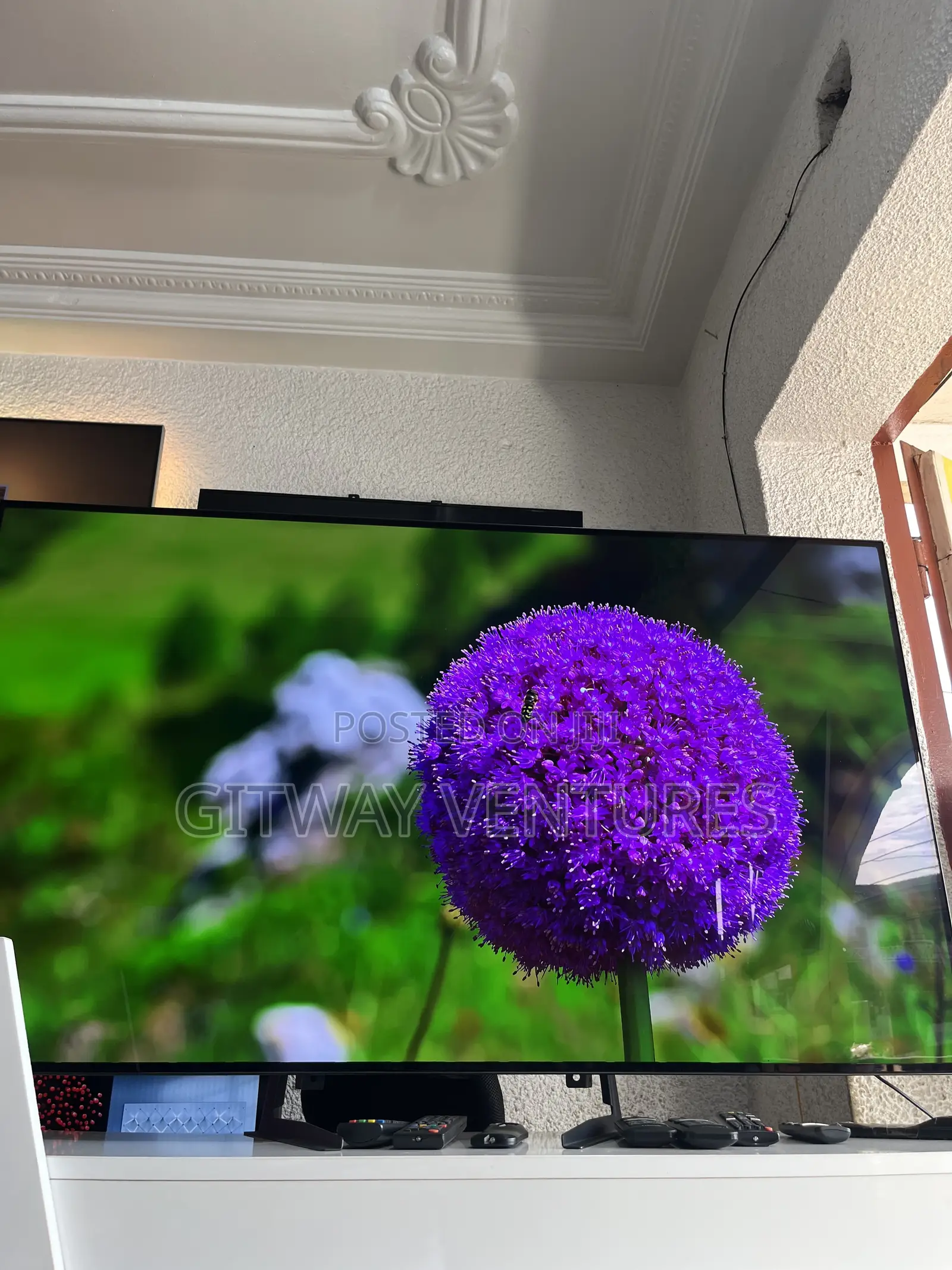 Lg Oled 55bx