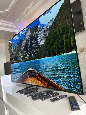 Lg Oled 55bx