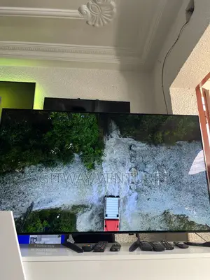 Lg Oled 55bx
