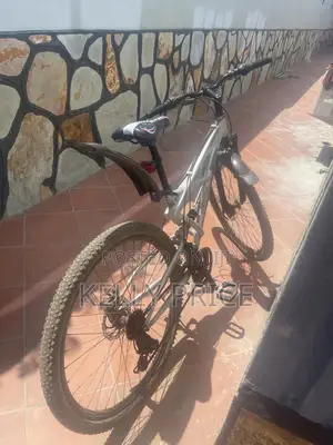 Neat Bicycle for Sale