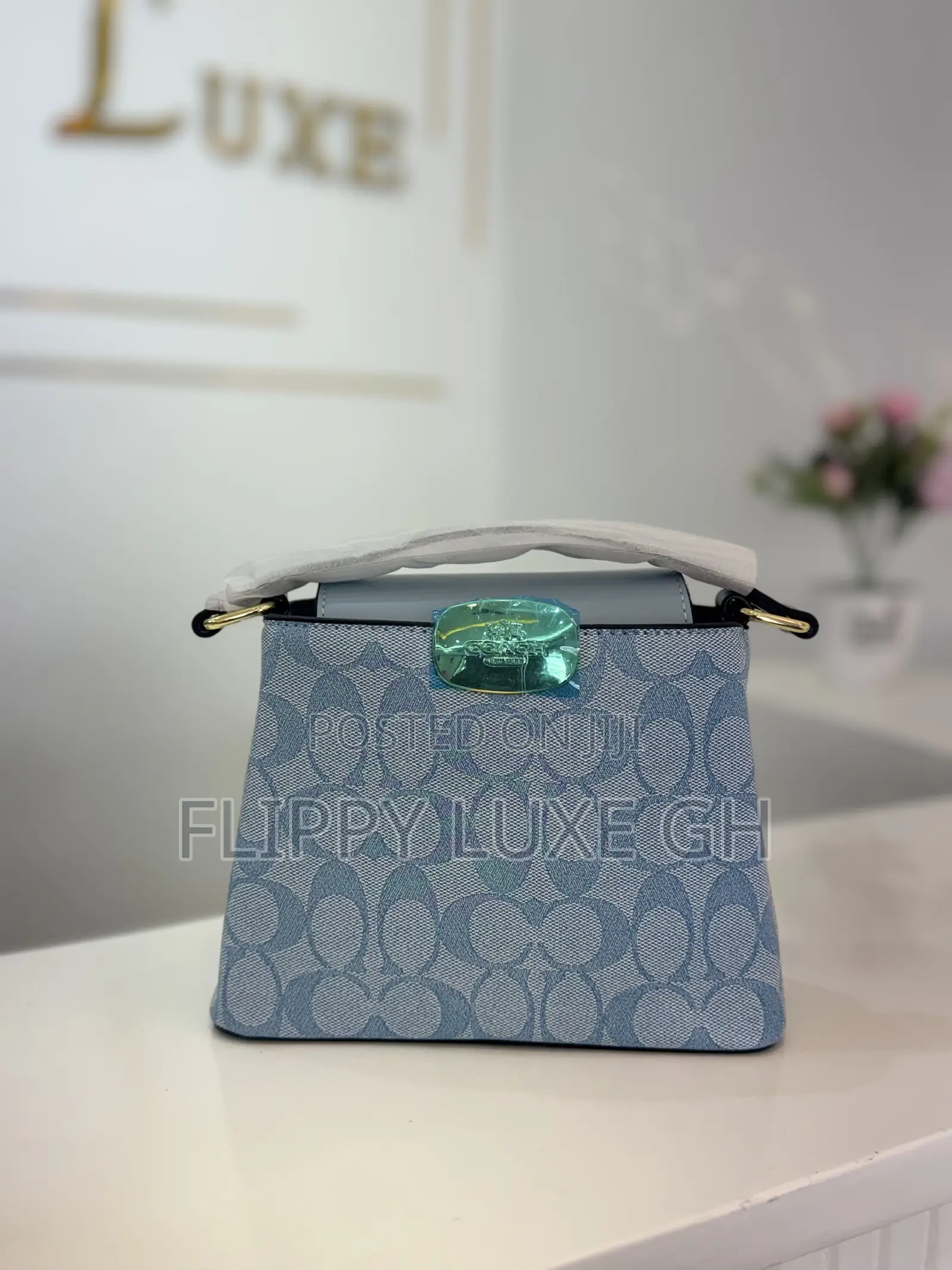 Coach Mini Bag