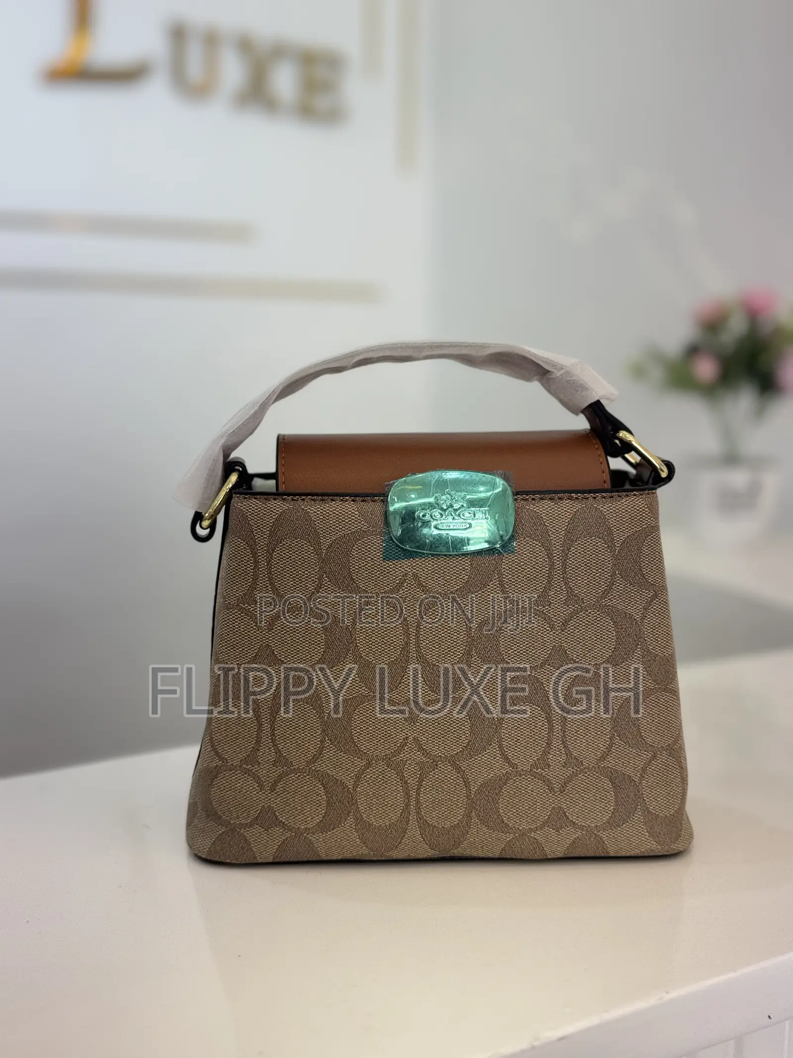 Coach Mini Bag