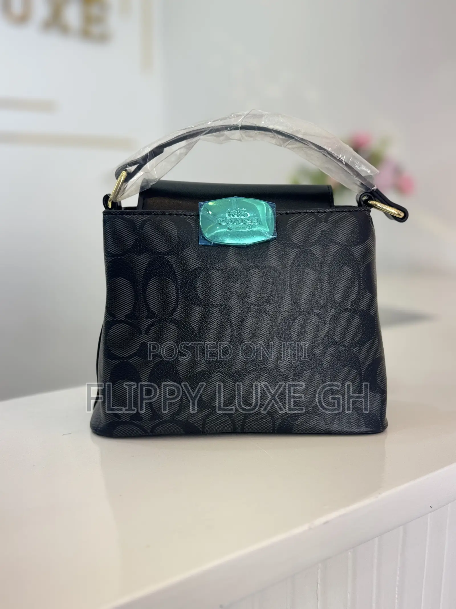 Coach Mini Bag