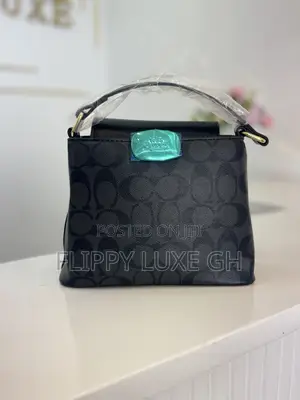 Coach Mini Bag