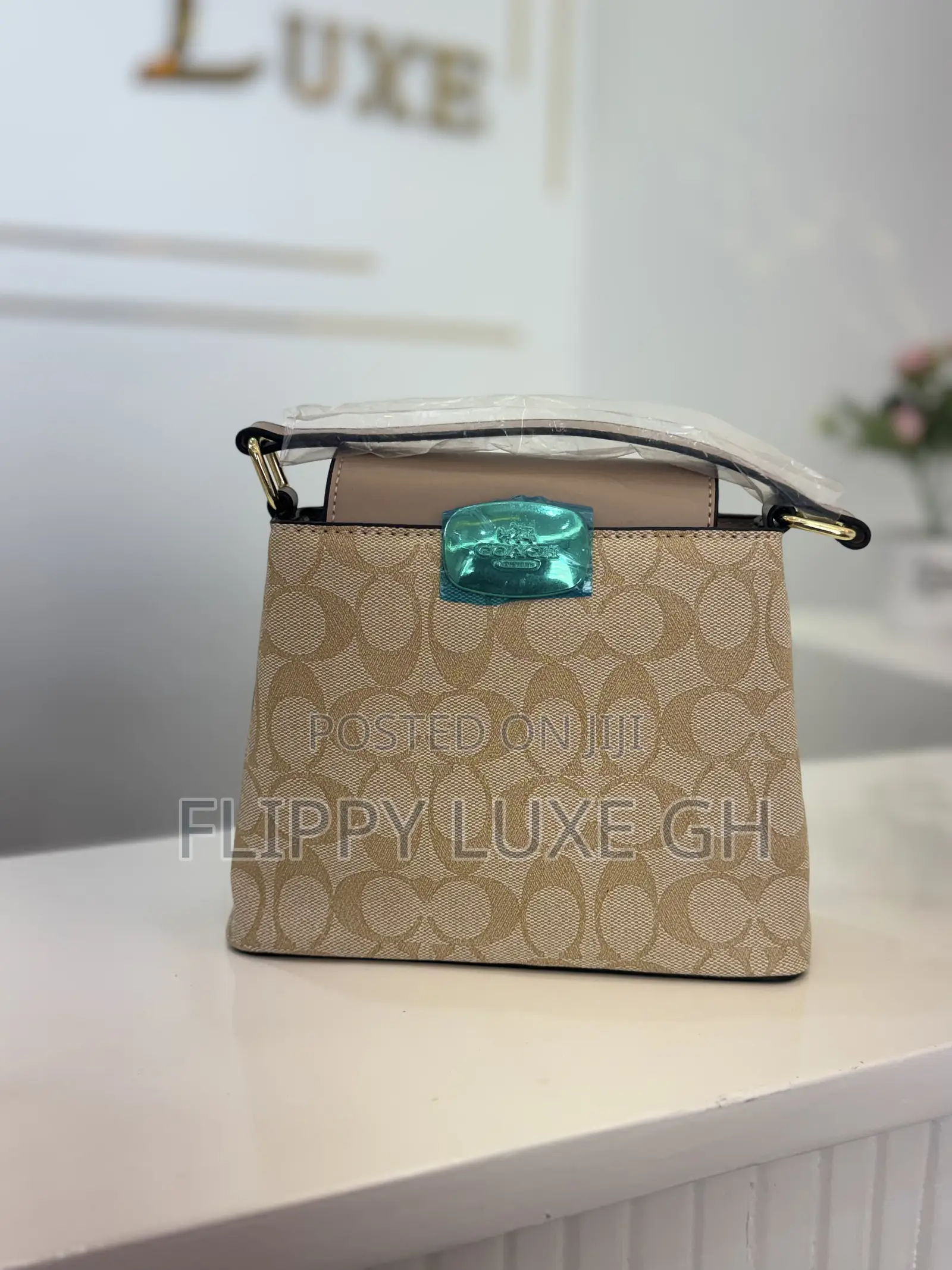 Coach Mini Bag