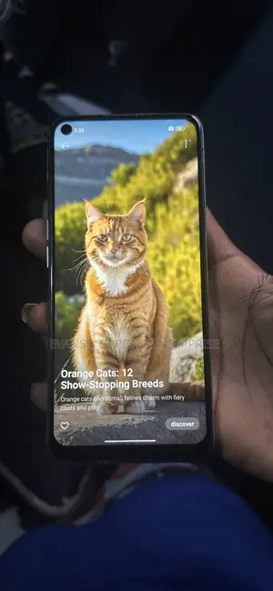 Oppo A96 128 GB Blue